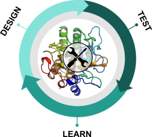 Cycle of rational enzyme engineering